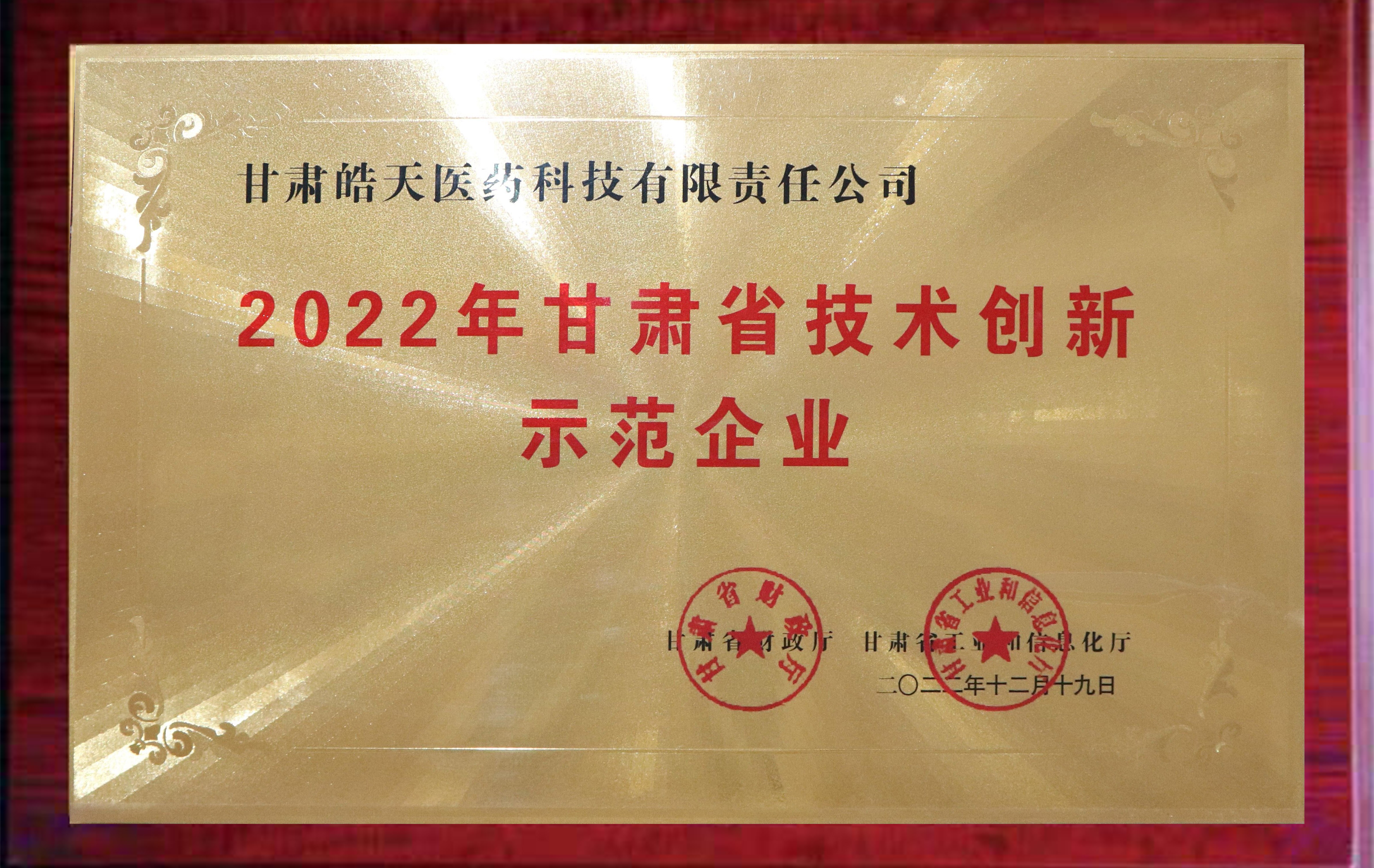 甘肅省技術創新示范企業